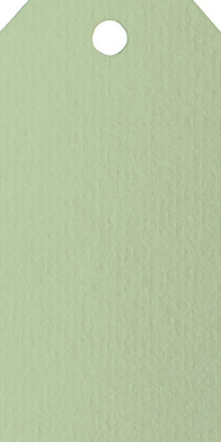 Adresskort 10-pack ljusgrön
