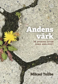 Andens värk : på spaning efter sann andlighet