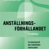 Anställningsförhållandet : inledning till den individuella arbetsrätten