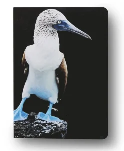 Anteckningsbok A6 linjerad mjuk pärm Mattias A. Klum fågel