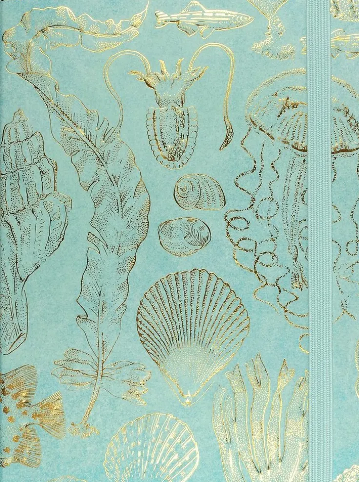 Anteckningsbok 21x16cm linjerad Sealife