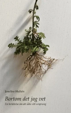 Bortom det jag vet: En berättelse om att söka sitt ursprung