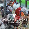 Börja med höns i trädgården