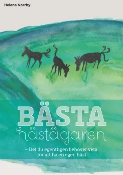Bästa hästägaren : det du egentligen behöver veta för att ha en egen häst