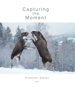 Capturing the Moment