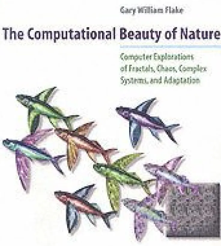 Computational Beauty of Nature