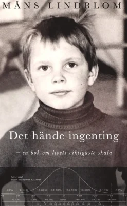 Det hände ingenting : en bok om livets viktigaste skala