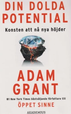 Din dolda potential : konsten att nå nya höjder
