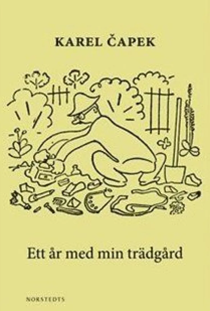Ett år med min trädgård