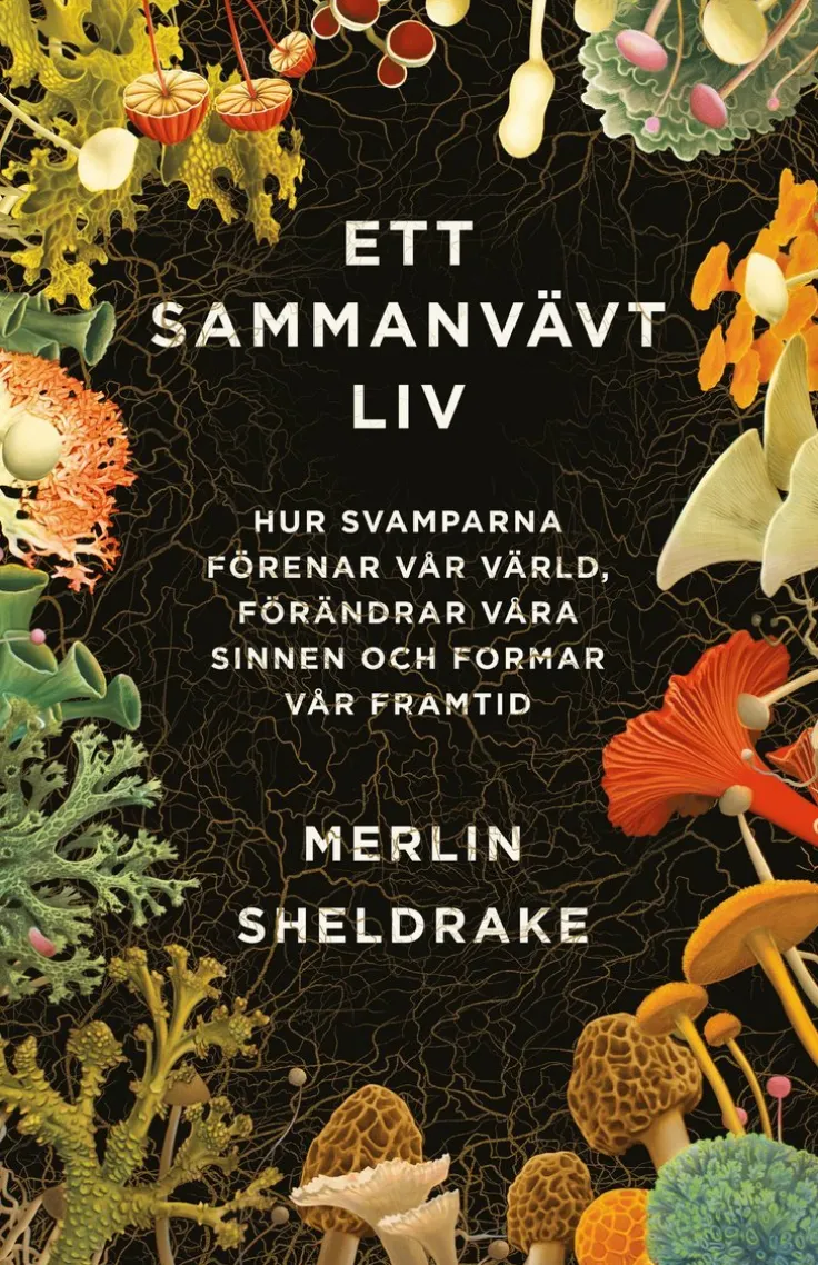 Ett sammanvävt liv : hur svamparna förenar vår värld, förändrar våra sinnen och formar vår framtid