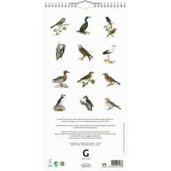 Familjekalender 2026 Fåglar