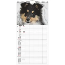 Familjekalender 2026 Hundar