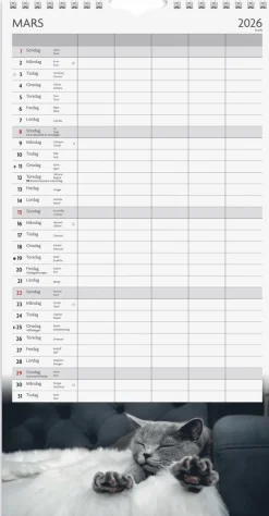 Familjekalender 2026 Katter