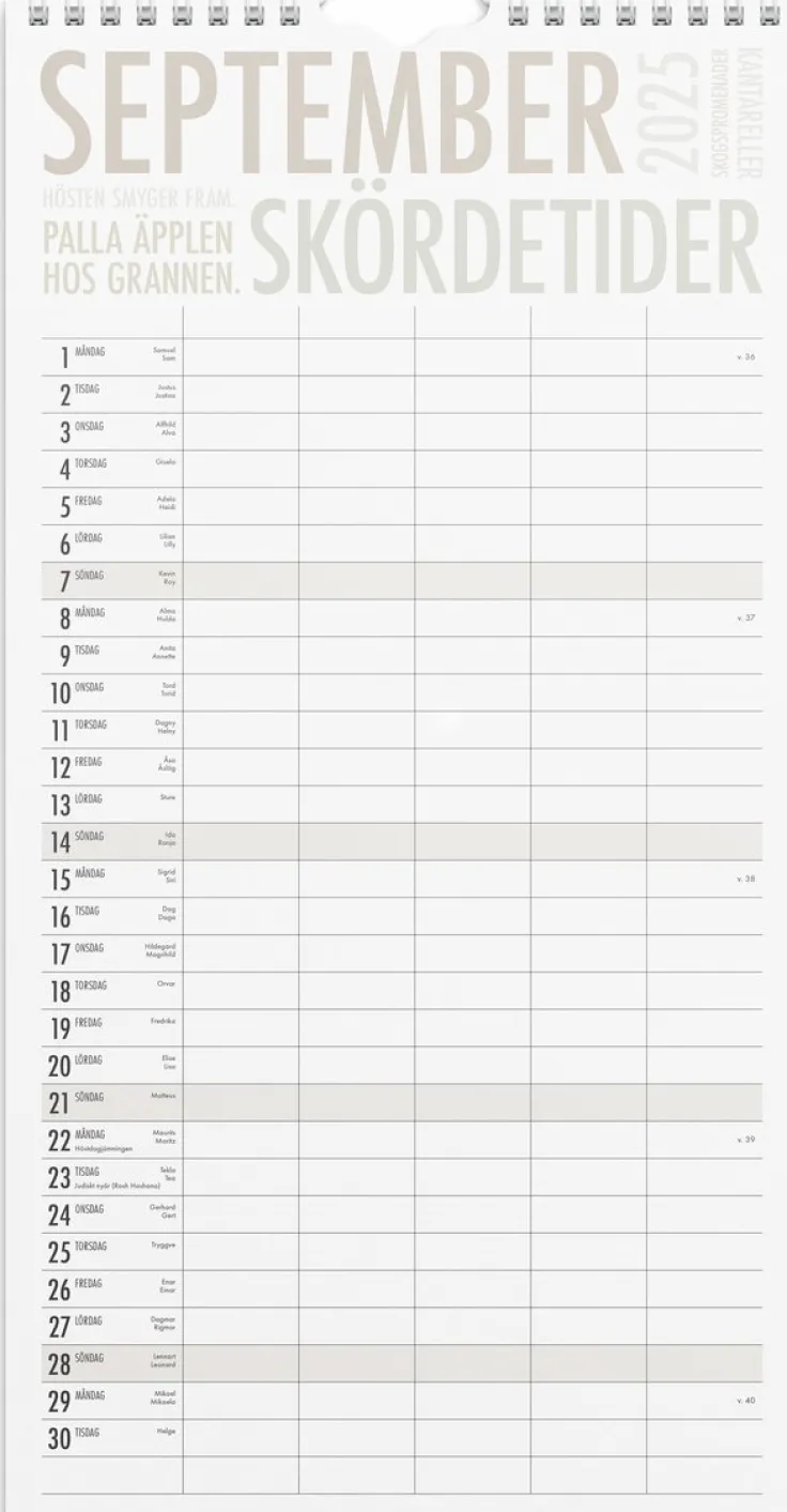 Familjekalender 2025 TrendArt