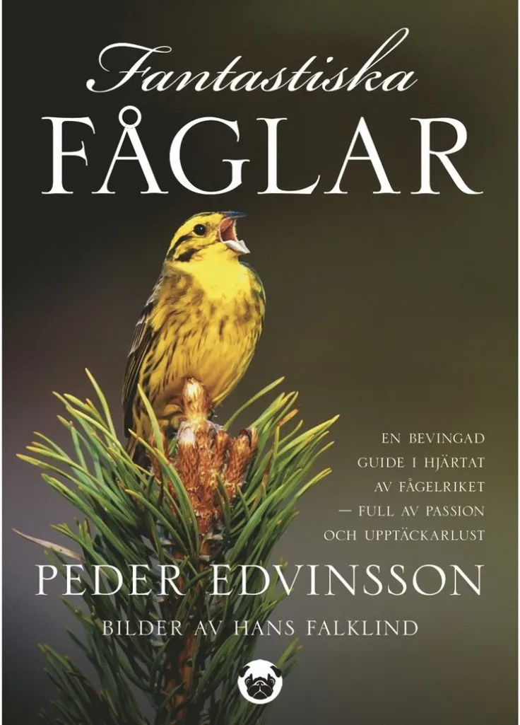 Fantastiska fåglar : en bevingad guide i hjärtat av fågelriket - full av passion och upptäckarlust