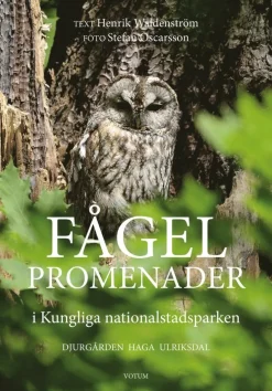 Fågelpromenader i Kungliga nationalstadsparken