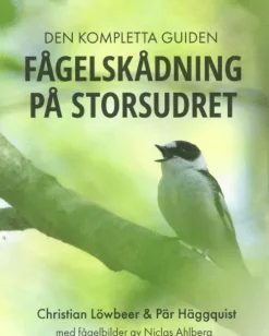 Fågelskådning på Storsudret
