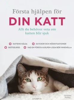 Första hjälpen för din katt