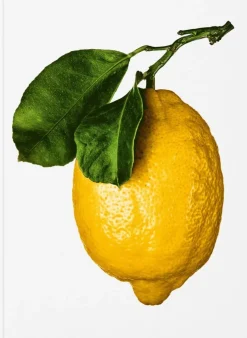 Gourmand's Lemon
