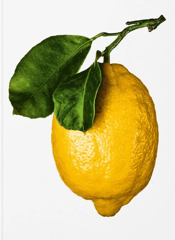 Gourmand's Lemon