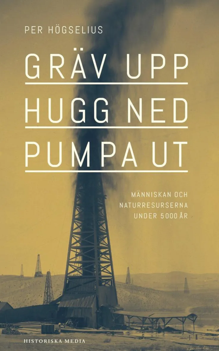 Gräv upp, hugg ned, pumpa ut : Människan och naturresurserna under 5000 år