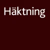 Häktning