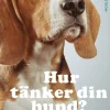 Hur tänker din hund?