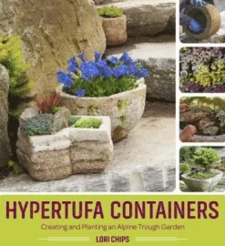 Hypertufa Containers