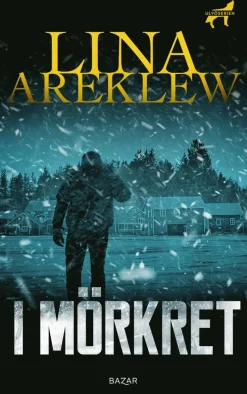 I mörkret