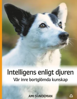 Intelligens enligt djuren : vår inre bortglömda kunskap