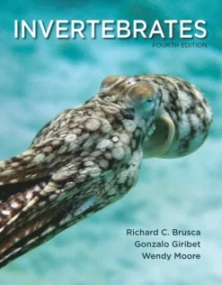 Invertebrates
