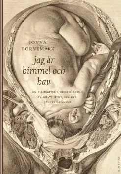 Jag är himmel och hav : en filosofisk undersökning av graviditet, liv och jagets gränser