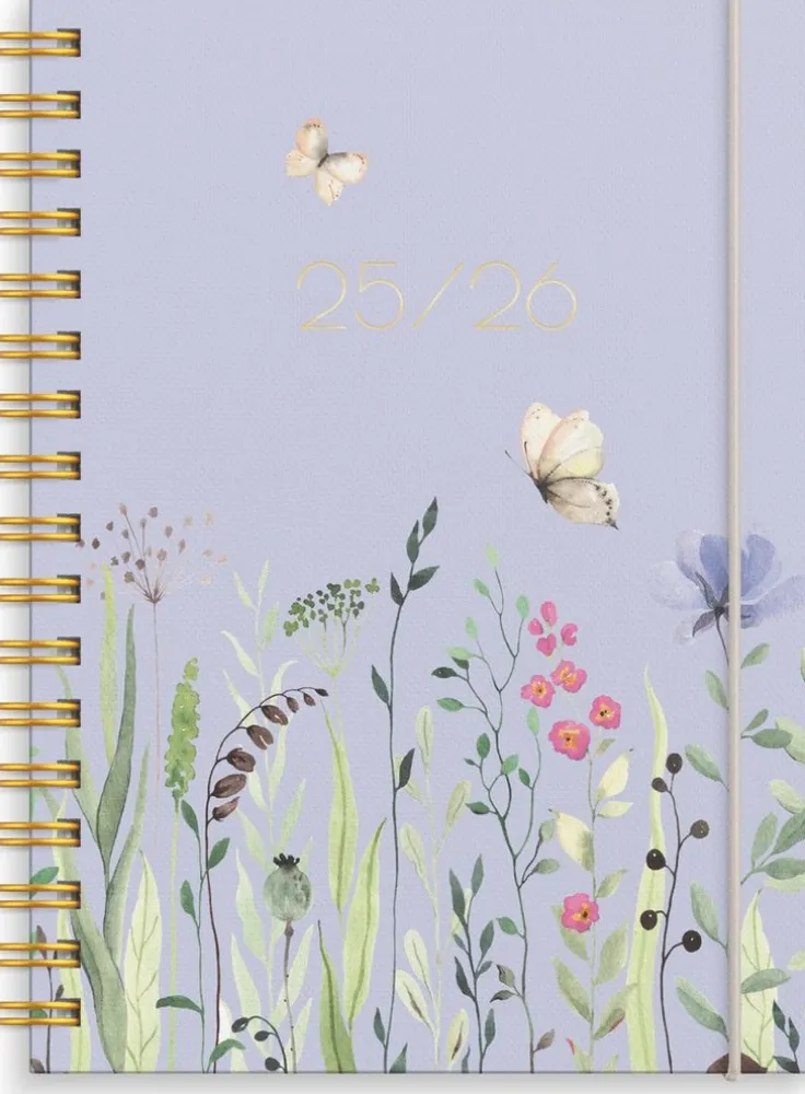 Kalender 2025-2026 Senator A6 Story Äng