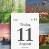Kalender 2026 Väggplån med dagblock Årstiderna