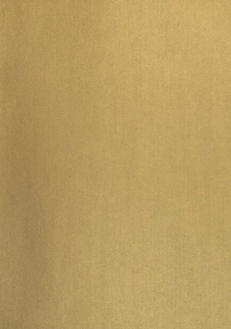 Kartong A4 220g 5-pack guld