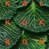 Kålkokbok