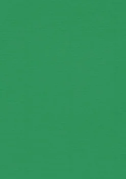 Kort A6 enkla 10-pack gräsgrön