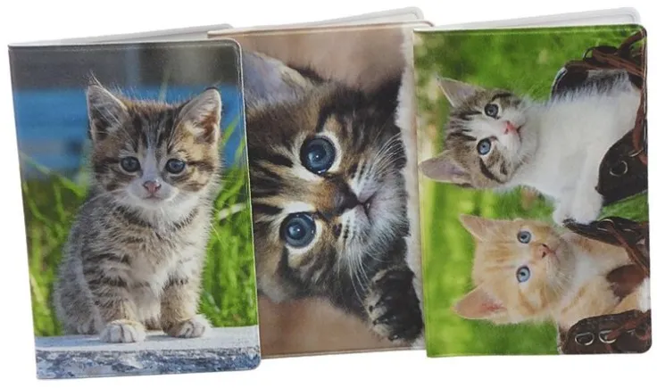 Kortfodral Plånka Kattungar