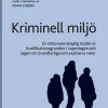 Kriminell miljö : en rättsvetenskaplig studie av kvalifikationsgrunden i vapenlagen och lagen om brandfarliga och explosiva varor