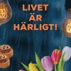 Livet är härligt!