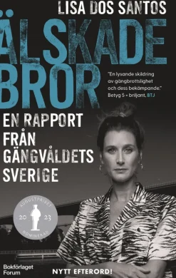 Älskade bror : en rapport från gängvåldets Sverige