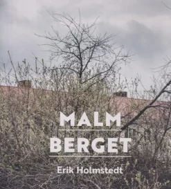 Malmberget