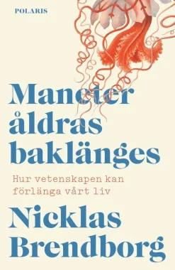 Maneter åldras baklänges