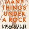 Many Things Under a Rock