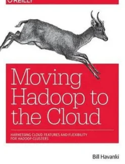 Moving Hadoop in the Cloud