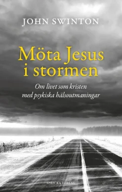 Möta Jesus i stormen : om livet som kristen med psykiska hälsoutmaningar