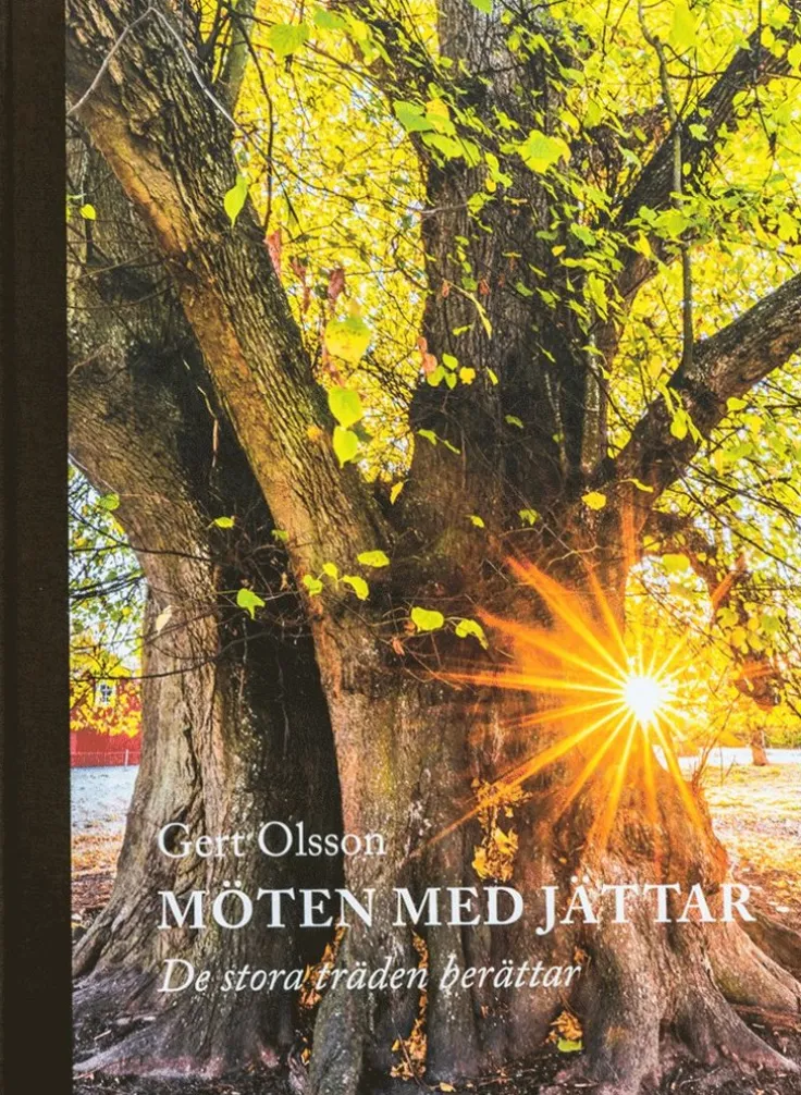 Möten med jättar : de stora träden berättar