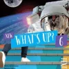 New What's Up? 6 Textbook