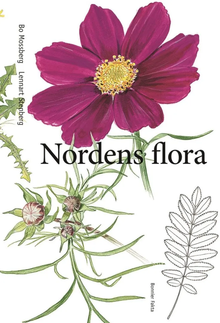 Nordens flora