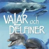 Nyfiken på valar och delfiner
